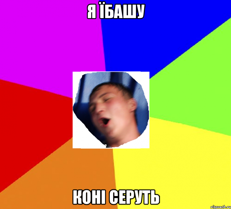 я їбашу коні серуть