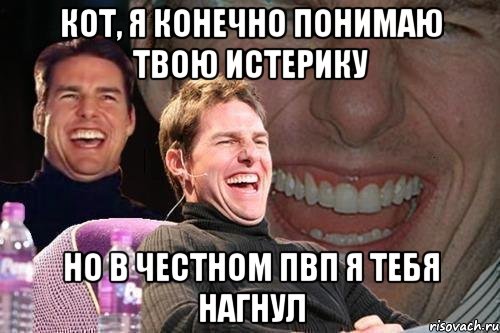 кот, я конечно понимаю твою истерику но в честном пвп я тебя нагнул, Мем том круз