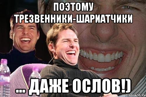 поэтому трезвенники-шариатчики ... даже ослов!), Мем том круз