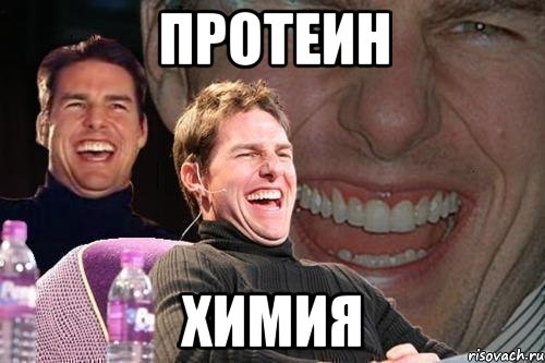 Протеин Химия, Мем том круз