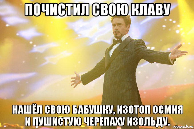 почистил свою клаву нашёл свою бабушку, изотоп осмия и пушистую черепаху изольду., Мем Тони Старк (Роберт Дауни младший)