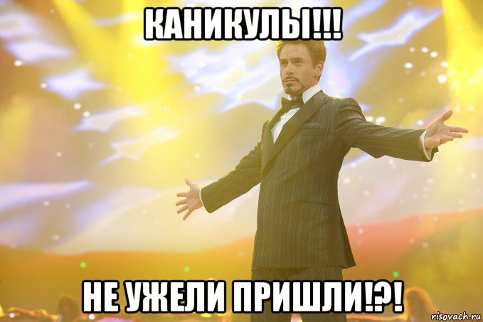 каникулы!!! не ужели пришли!?!, Мем Тони Старк (Роберт Дауни младший)