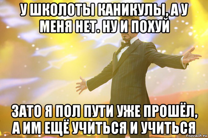 у школоты каникулы, а у меня нет. ну и похуй зато я пол пути уже прошёл, а им ещё учиться и учиться, Мем Тони Старк (Роберт Дауни младший)