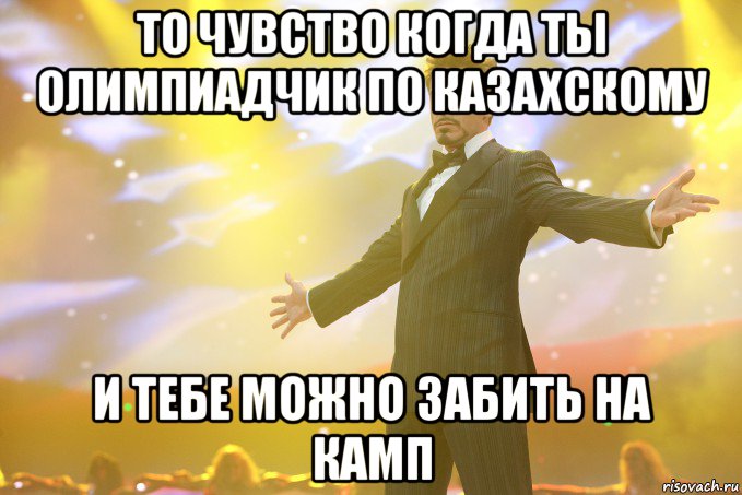 то чувство когда ты олимпиадчик по казахскому и тебе можно забить на камп, Мем Тони Старк (Роберт Дауни младший)