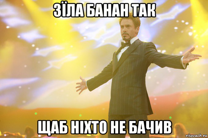 зїла банан так щаб ніхто не бачив, Мем Тони Старк (Роберт Дауни младший)