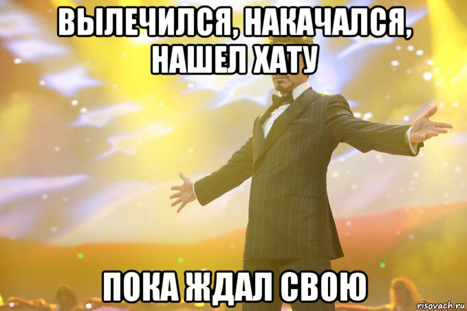 вылечился, накачался, нашел хату пока ждал свою, Мем Тони Старк (Роберт Дауни младший)