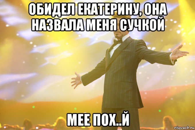 обидел екатерину, она назвала меня сучкой мее пох..й, Мем Тони Старк (Роберт Дауни младший)