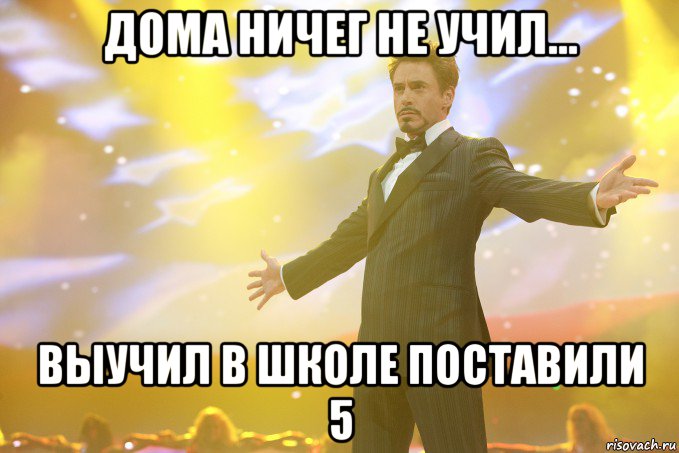 дома ничег не учил... выучил в школе поставили 5, Мем Тони Старк (Роберт Дауни младший)