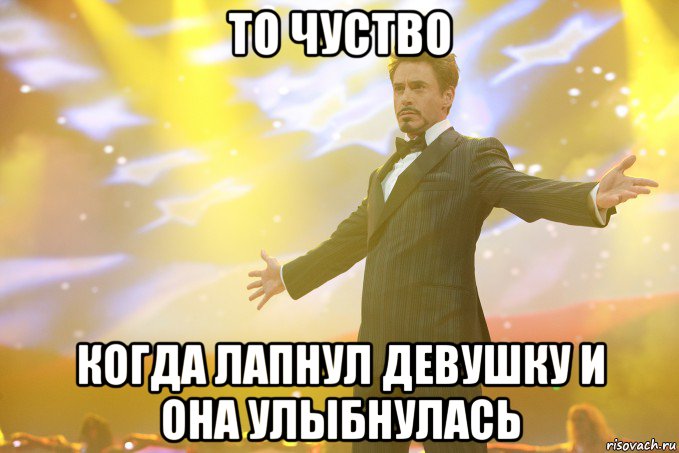 то чуство когда лапнул девушку и она улыбнулась, Мем Тони Старк (Роберт Дауни младший)