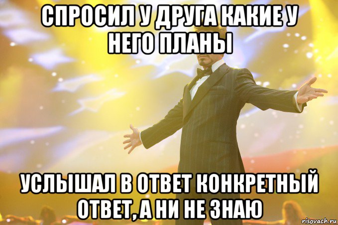 спросил у друга какие у него планы услышал в ответ конкретный ответ, а ни не знаю, Мем Тони Старк (Роберт Дауни младший)