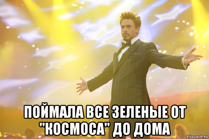  поймала все зеленые от "космоса" до дома, Мем Тони Старк (Роберт Дауни младший)