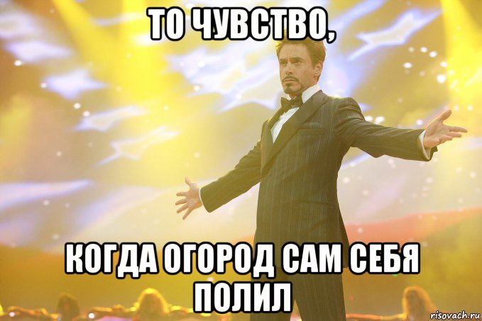 то чувство, когда огород сам себя полил, Мем Тони Старк (Роберт Дауни младший)