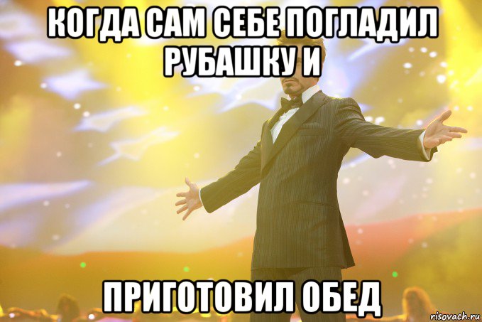 когда сам себе погладил рубашку и приготовил обед, Мем Тони Старк (Роберт Дауни младший)