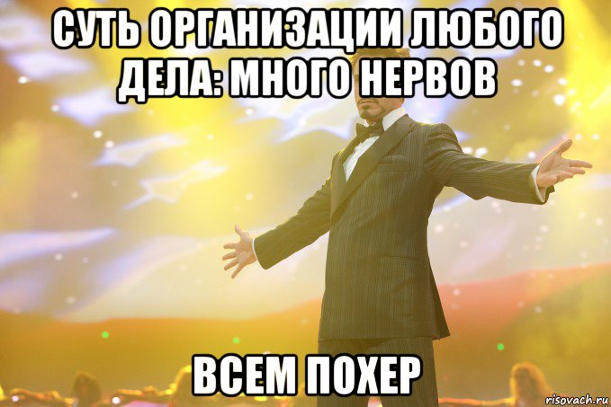 суть организации любого дела: МНОГО НЕРВОВ ВСЕМ ПОХЕР, Мем Тони Старк (Роберт Дауни младший)