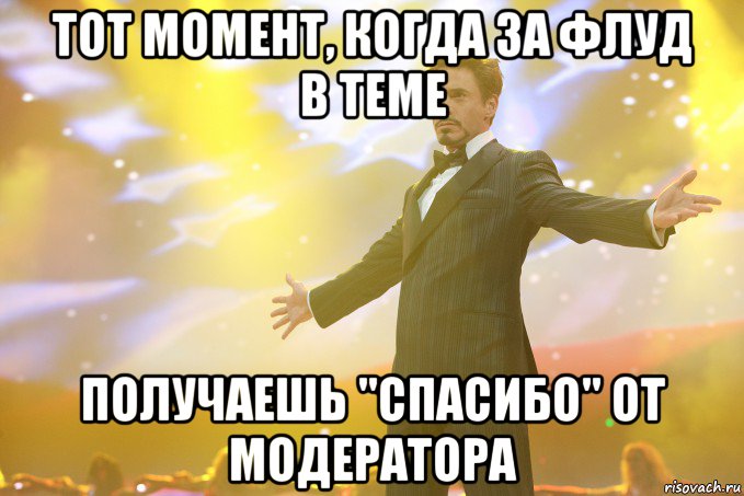 Тот момент, когда за флуд в теме получаешь "спасибо" от модератора, Мем Тони Старк (Роберт Дауни младший)