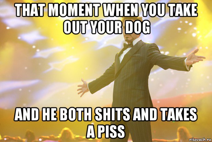 That moment when you take out your dog And he both shits and takes a piss, Мем Тони Старк (Роберт Дауни младший)