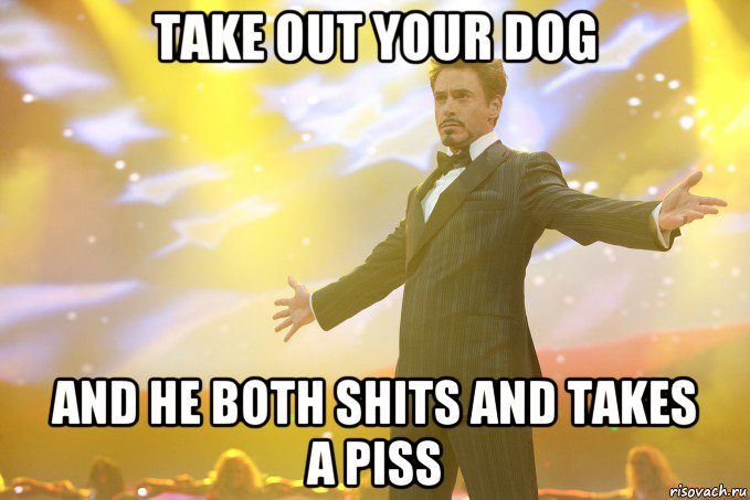 Take out your dog And he both shits and takes a piss, Мем Тони Старк (Роберт Дауни младший)