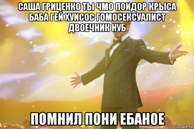 Саша Гриценко ты чмо поидор крыса баба гей хуисос гомосексуалист двоечник нуб Помнил пони ебаное, Мем Тони Старк (Роберт Дауни младший)