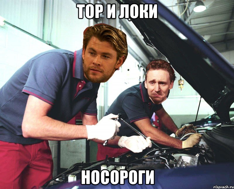 тор и локи носороги