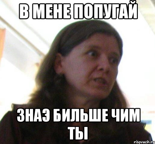 в мене попугай знаэ бильше чим ты, Мем ТП