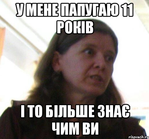 у мене папугаю 11 років і то більше знає чим ви, Мем ТП