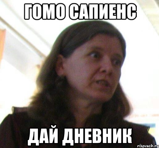 гомо сапиенс дай дневник