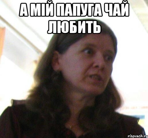 А мій папуга чай любить , Мем ТП