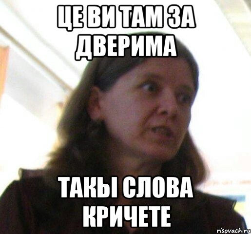це ви там за дверима такы слова кричете, Мем ТП