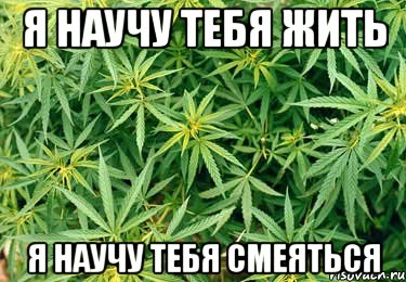 я научу тебя жить я научу тебя смеяться