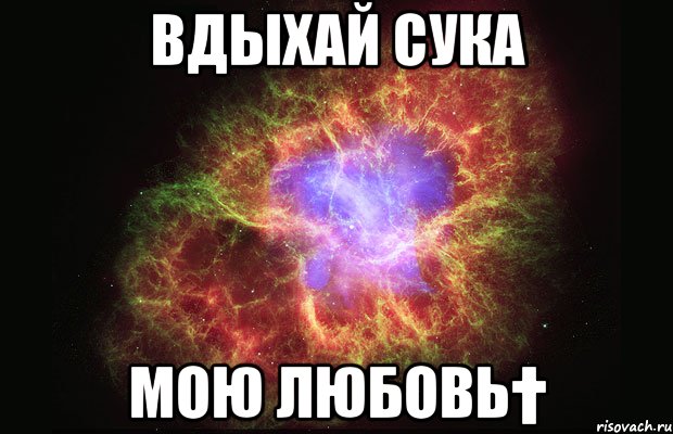 Вдыхай сука мою любовь†, Мем Туманность