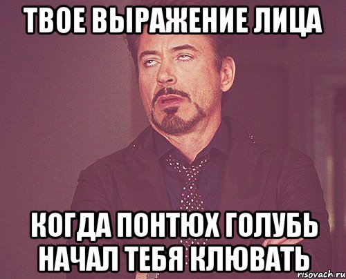 твое выражение лица когда понтюх голубь начал тебя клювать, Мем твое выражение лица