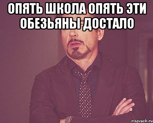 опять школа опять эти обезьяны достало , Мем твое выражение лица