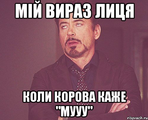 мій вираз лиця коли корова каже "мууу", Мем твое выражение лица