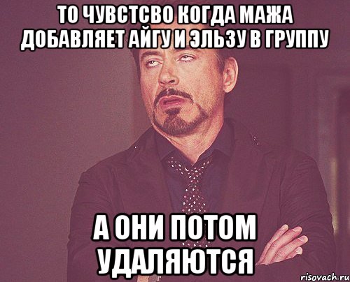 то чувстсво когда мажа добавляет айгу и эльзу в группу а они потом удаляются, Мем твое выражение лица