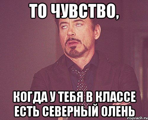 то чувство, когда у тебя в классе есть северный олень, Мем твое выражение лица