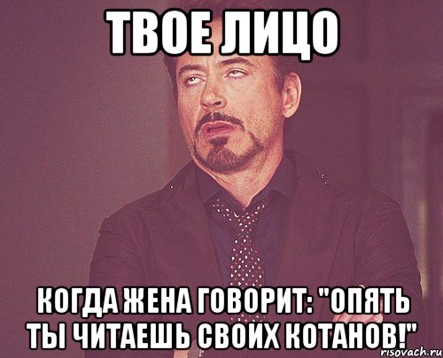 твое лицо когда жена говорит: "опять ты читаешь своих котанов!", Мем твое выражение лица