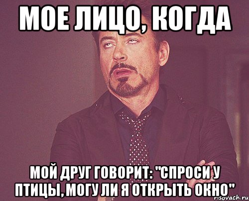 мое лицо, когда мой друг говорит: "спроси у птицы, могу ли я открыть окно", Мем твое выражение лица