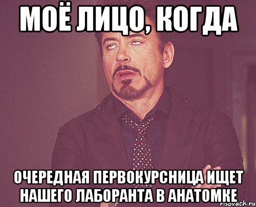 моё лицо, когда очередная первокурсница ищет нашего лаборанта в анатомке, Мем твое выражение лица