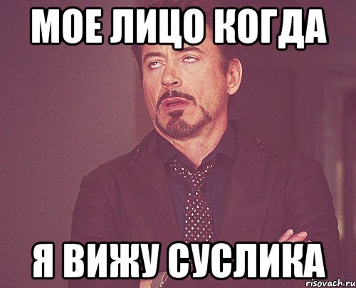 МОЕ ЛИЦО КОГДА Я ВИЖУ СУСЛИКА, Мем твое выражение лица