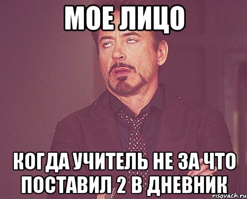 Мое Лицо когда учитель не за что поставил 2 в дневник, Мем твое выражение лица