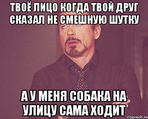 Твоё лицо когда твой друг сказал не смешную шутку А у меня собака на улицу сама ходит, Мем твое выражение лица