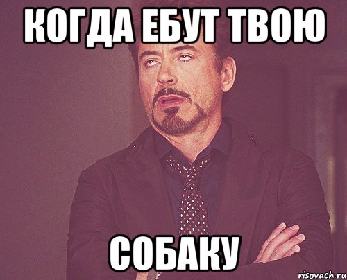 когда ебут твою собаку, Мем твое выражение лица