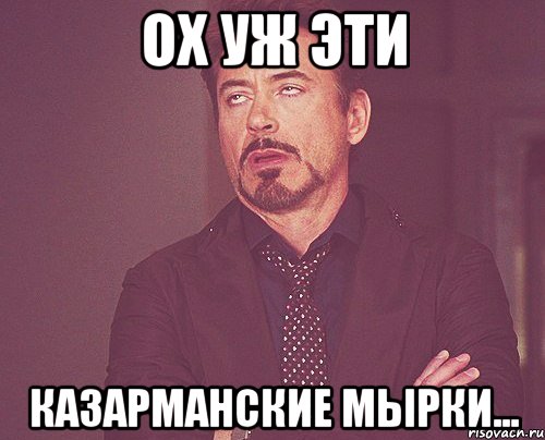 ОХ УЖ ЭТИ КАЗАРМАНСКИЕ МЫРКИ..., Мем твое выражение лица