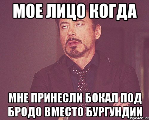 Мое лицо когда Мне принесли бокал под бродо вместо бургундии, Мем твое выражение лица