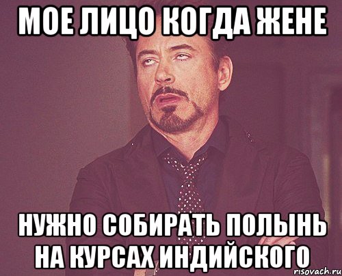мое лицо когда жене Нужно собирать полынь на курсах индийского, Мем твое выражение лица