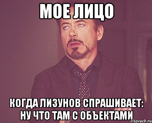 Мое лицо Когда Лизунов спрашивает: ну что там с объектами, Мем твое выражение лица