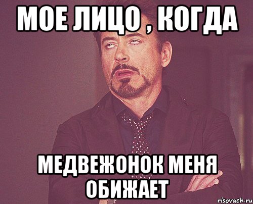 Мое лицо , когда Медвежонок меня обижает, Мем твое выражение лица