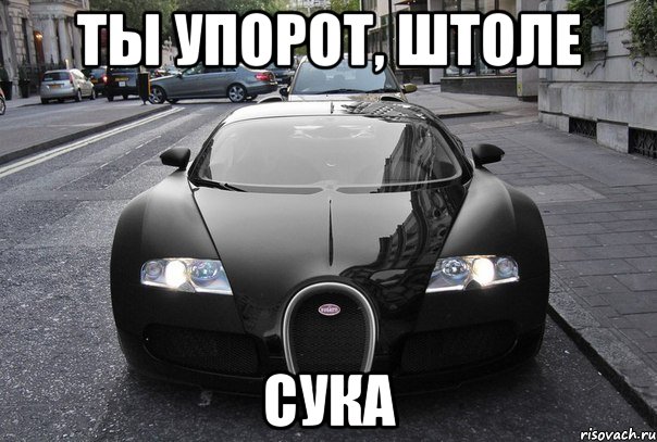 ты упорот, штоле сука, Мем Ты че упоротый штоле