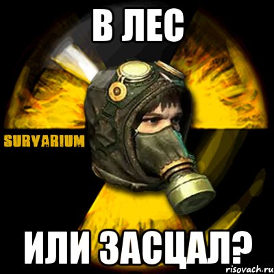 В лес или засцал?