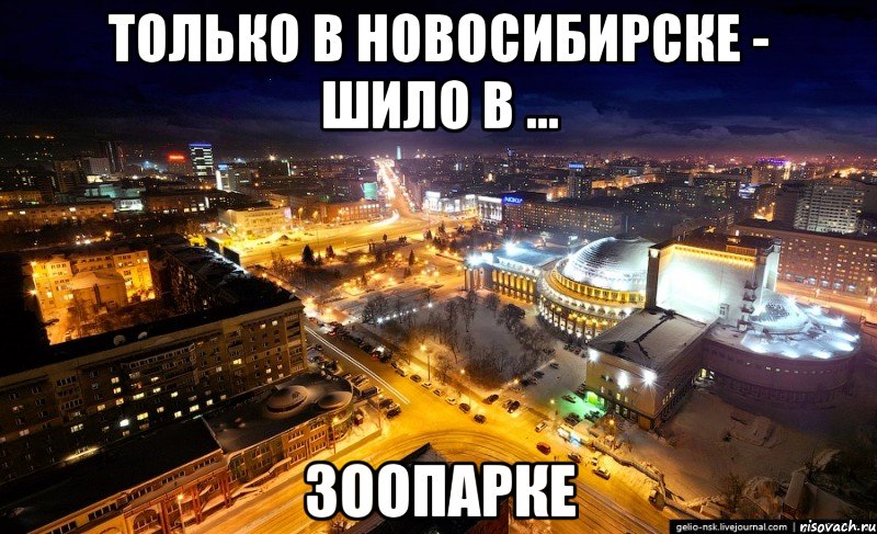 только в новосибирске - шило в ... зоопарке